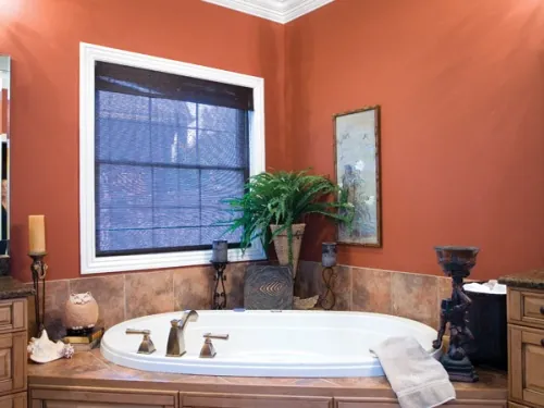 Luxury Bathroom Colors