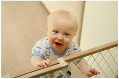 baby behind safety gate