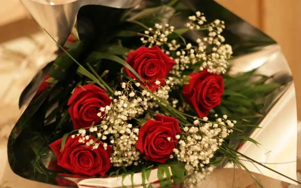 red roses